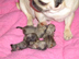 14-12-2006, De trotse mamma met haar pas geboren kroost.