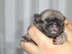 Aranka is hier ook 7 dagen oud.