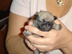Dit is Ari�lla 11 dagen oud.